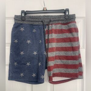 🇺🇸Brooklyn Cloth Blue and Red Star Stripe Men's Shorts